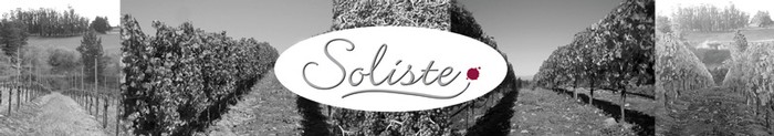 Soliste